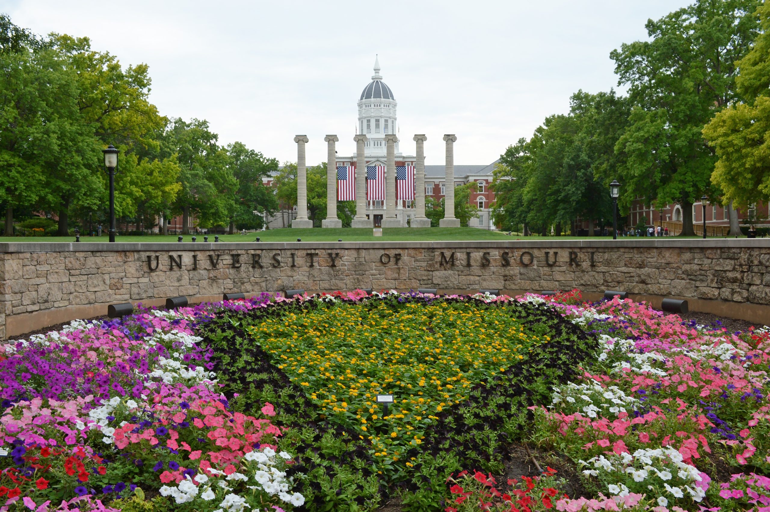 Jesse Hall and Columns in Spring