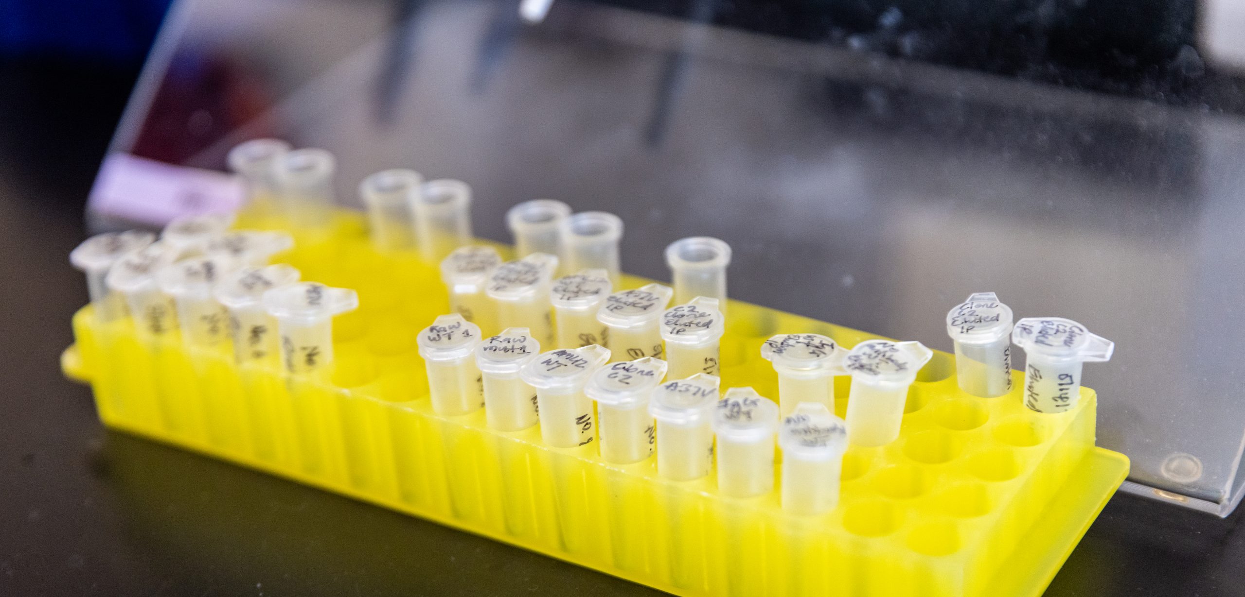 Test tubes in yellow tray